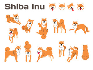 shiba inu,dog in action,happy dog - obrazy, fototapety, plakaty