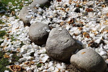 steine auf der Strasse in ascona