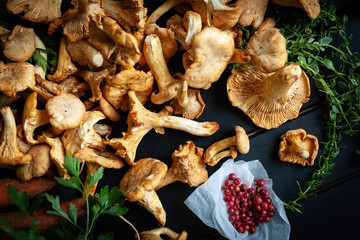 chanterelle mushroom