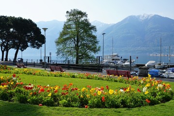 Locarno Stadt auf Lago Maggiore in der schweiz im Sommer  - 215813431