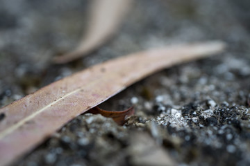 Olimpia Beach on Kefalonia Island Greece in a sunny day