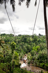 Young tourist woman swinging on the cliff in the jungle rainforest and river of a tropical Bali island. Swing among two palms tree