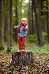 Little boy on wooden stump during stroll in the forest