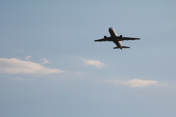 flieger © ChrisLeeBear