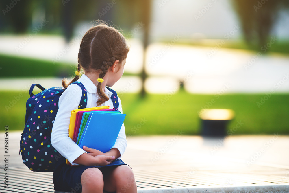 Wall mural child girl schoolgirl elementary school student