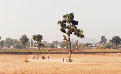 Rural India landscape. Village kids playing cricket outdoor, on playground with one tree area.