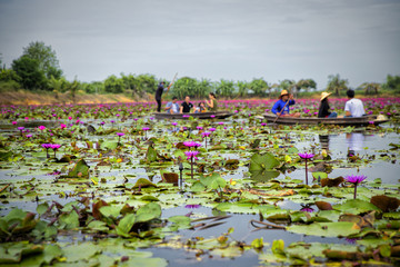Red Lotus Floating Market in Thailand