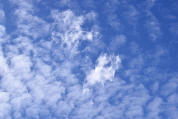 Fototapeta premium Beautiful blue sky with cumulus white clouds