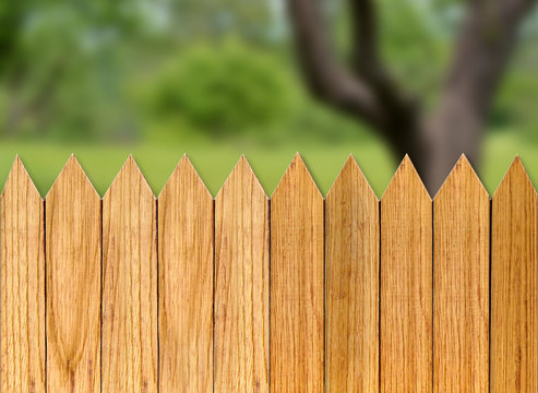 Wooden fence with green grass and tree
