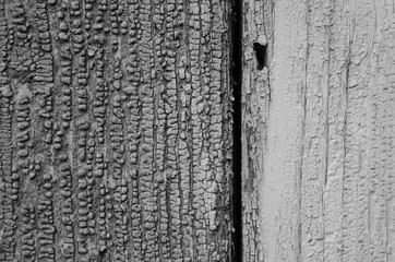 Old Black and WhiteTexture of Paint on Wood