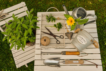 Kräuter im Garten mit einer Gießkanne uns Schere von oben weiß