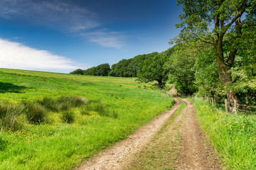 Fototapeta na wymiar A track running alongside a meadow and woodland.