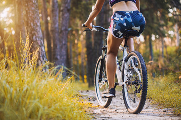 Fototapeta na wymiar cyclist cycling mountain bike on pine forest trail