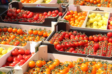 Fototapeta na wymiar Tomates du marché bio