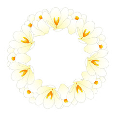 White Crocus Flower Wreath