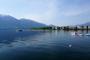 Fototapeta na wymiar Locarno Stadt auf Lago Maggiore in der schweiz im Sommer 