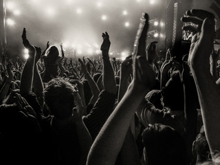 Cheering fans at a concert