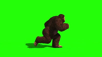 Bigfoot Sighting Run Loop Green Screen 3D Rendering Animation
