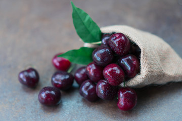 Fresh organic cherries in burlap sack