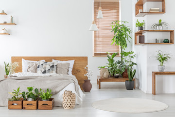 Fototapeta na wymiar Real photo of a botanical bedroom interior with wooden shelves, tables, double bed, plants and empty wall next to a window with blinds. Place your painting