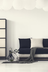 Blanket and pillows on black couch in white modern living room interior with plant. Real photo