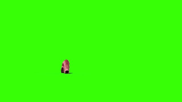 Giant Worm Monster Crawl Green Screen 3D Rendering Animation
