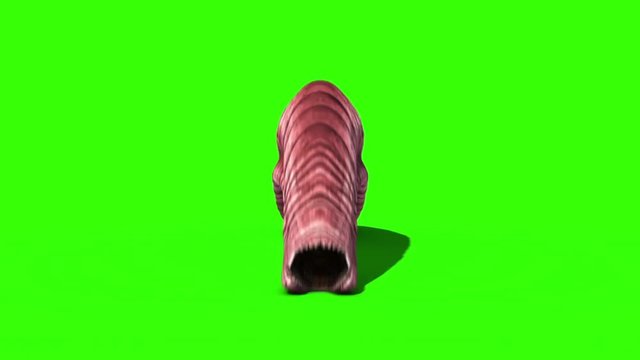 Giant Worm Monster Crawl Loop Front Green Screen 3D Rendering Animation