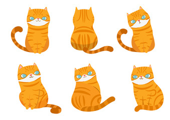 Set of  orange striped cats in different poses on white background. Vector illustration character design.