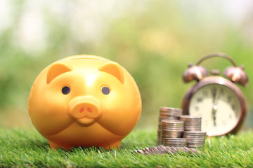 Saving money for prepare in future and investment concept, Golden piggy and stack of coins money on natural green background