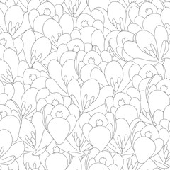 Crocus Flower Outline Seamless Background