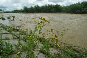 Flooding on a mountain river after heavy rains