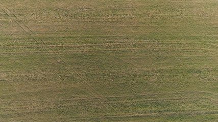 Green field early spring, aerial panoramic view photo.