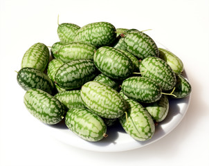 Minigurke, Melothria, scabra, mexikanische