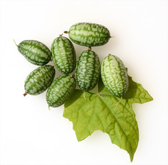 Minigurke, Melothria, scabra, mexikanische