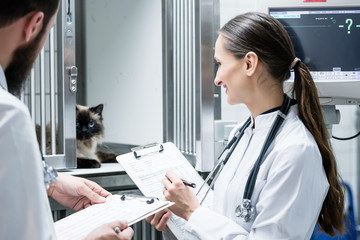 Veterinarian doctors on visit round in ICU of veterinarian clinic