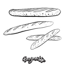 Hand drawn sketch of Baguette food