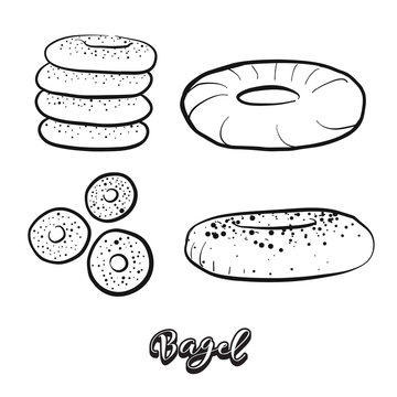 Hand Drawn Sketch Of Bagel Food