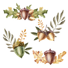 Watercolor autumn leaf acorn oak © vanilnoe_nebo