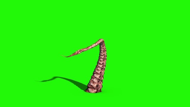1 Tentacle Monster Octopus Attack Green Screen 3D Rendering Animation