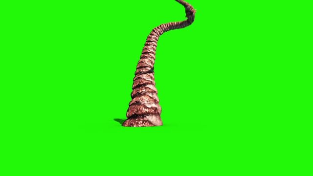 Tentacle Monster Attack Octopus Green Screen 3D Rendering Animation