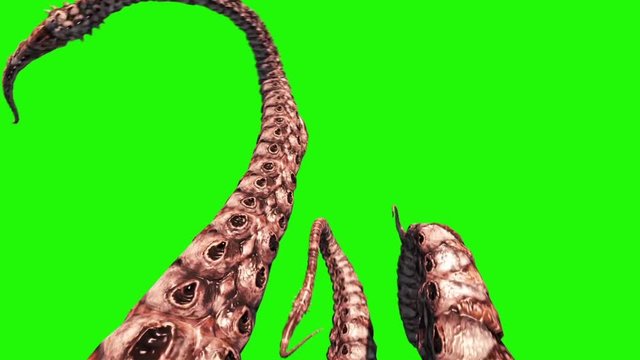 4 Tentacles Monster Octopus Green Screen 3D Rendering Animation