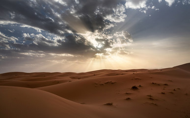 Fototapeta na wymiar Sahara desert ,great landscape in Morocco
