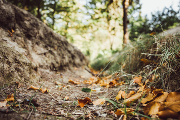 Ausgetrockneter Bach im Wald durch sommerliche Hitzeperiode