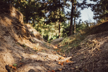 Ausgetrockneter Bach im Wald durch sommerliche Hitzeperiode