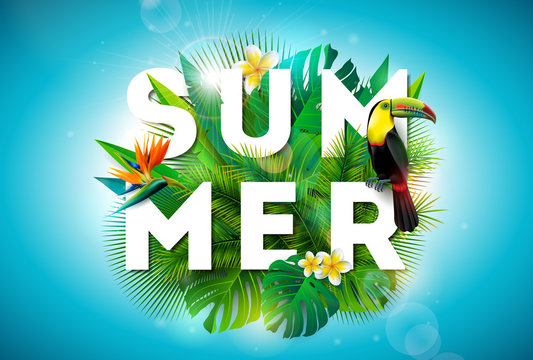 Summer illustration with toucan bird and parrots beak flower on tropical background. Exotic leaves with holiday typography element. Vector design template for banner, flyer, invitation, brochure
