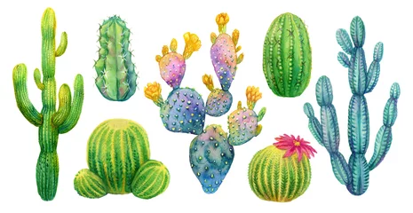 Foto op Canvas Cactus set watercolor isolated illustration. © airmel