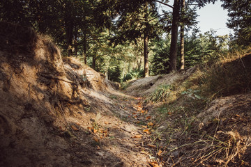 Ausgetrockneter Bach im Wald durch sommerliche Hitzeperiode