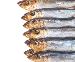 Smoked fish Baltic herring isolated on white background