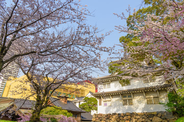 Obraz premium 春の小倉城と小倉城からの眺め