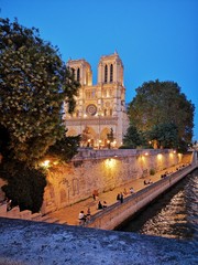 Soire d'été Cathédrale Notre-Dame de Paris 